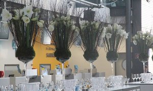 blumenhaus-wein-topparty-oben