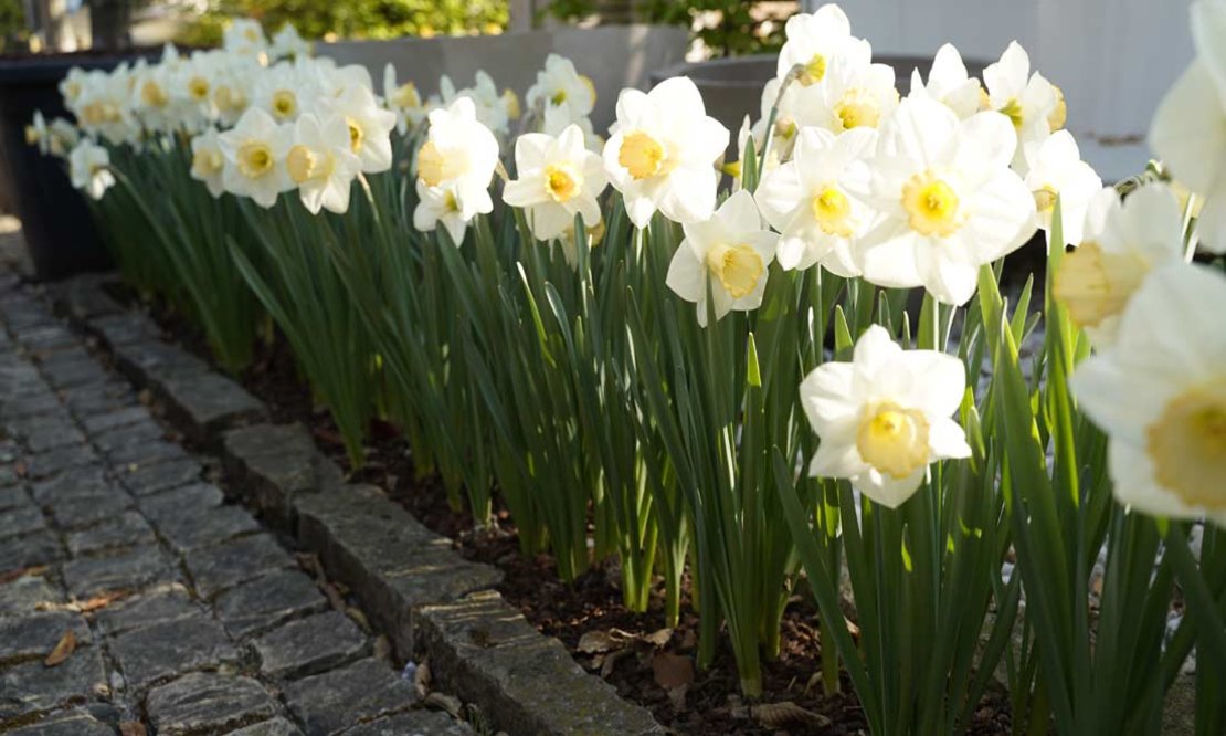 Gartendesign_Titel_02