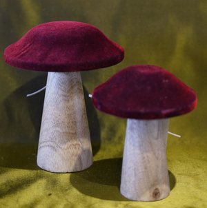 Pilz-Samthut